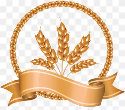 Golden Wheat Stalks with Ribbon