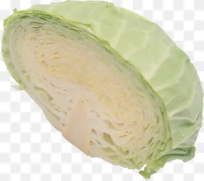 Sliced Fresh Cabbage
