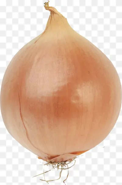 Single Yellow Onion