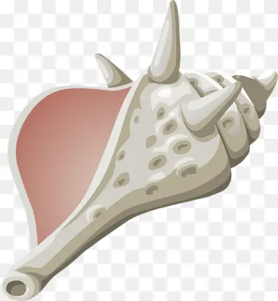 Spiky Conch Shell
