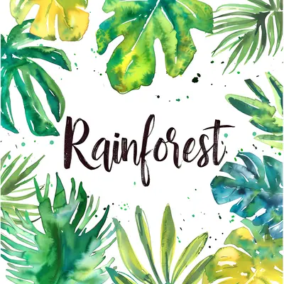 Green Rainforest Leaves Illustration
