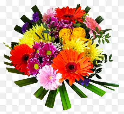 Bouquet of Colorful Flowers