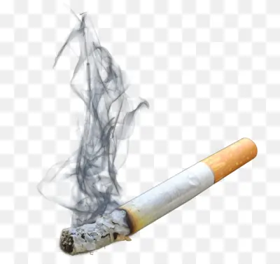 Burning Cigarette with Smoke Illustration