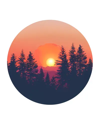 Sunset Over Forest Silhouette