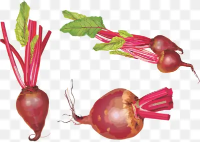 Various Fresh Beetroots with Green Leaves