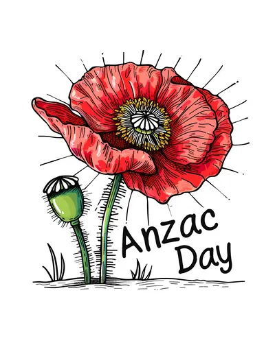 Red Poppy Flower for ANZAC Day