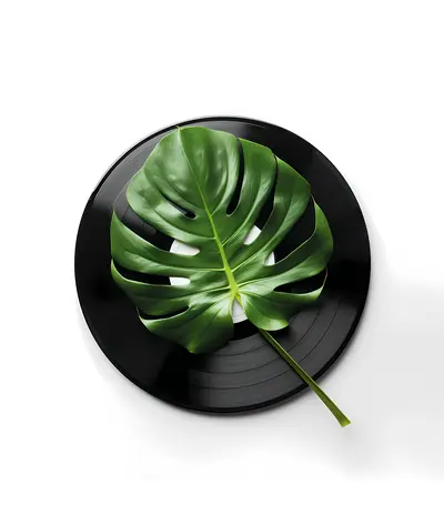 Vinyl Record with Green Leaf