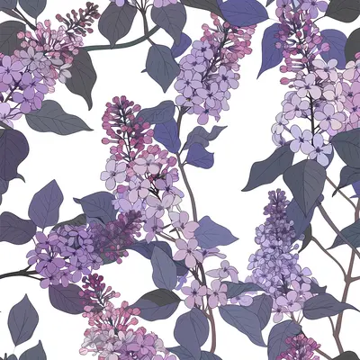 Lilac Flower Pattern on White Background