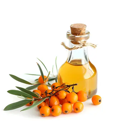Orange Berries with Oil Bottle