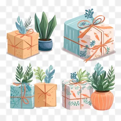 Gift Boxes with Potted Plants