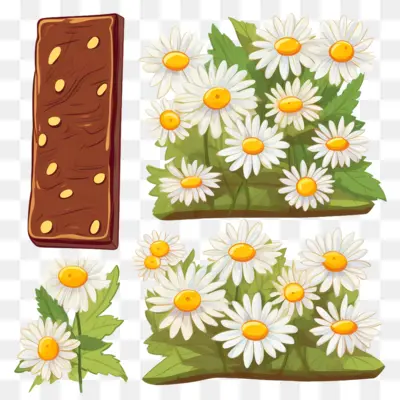 Chocolate and Daisies Illustration