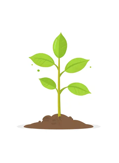 Young Plant