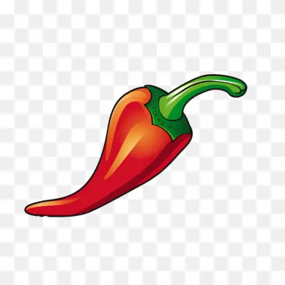 Single Red Chili Pepper Illustration