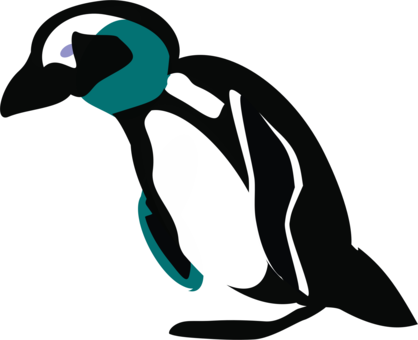 Bird Logo png download - 703*799 - Free Transparent Club Penguin png  Download. - CleanPNG / KissPNG
