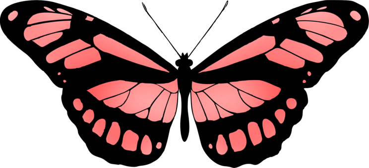 Download Butterfly,Symmetry,Artwork PNG Clipart - Royalty Free SVG ...