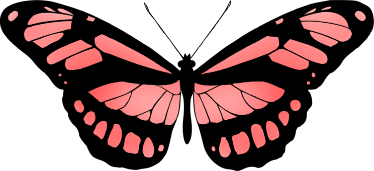 Download Butterfly,Symmetry,Artwork PNG Clipart - Royalty Free SVG / PNG