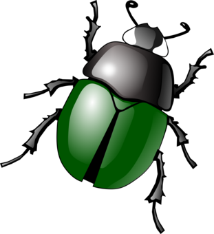 Red Circle png download - 1750*2336 - Free Transparent Ladybird