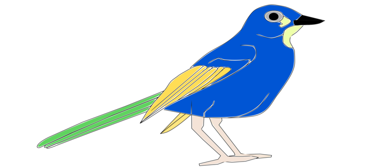 Blue Jay Clipart png images