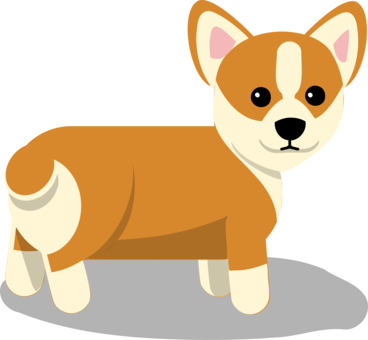 Pembroke Welsh Corgi photo background, transparent png images and svg ...