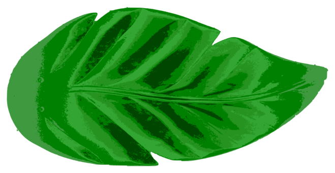 Banana Leaf photo background, transparent png images and svg vector ...