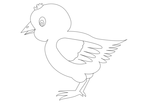 Livestock,Fowl,Beak PNG Clipart - Royalty Free SVG / PNG