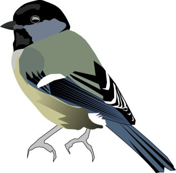 Bird,Beak,Eurasian Blue Tit PNG Clipart - Royalty Free SVG / PNG