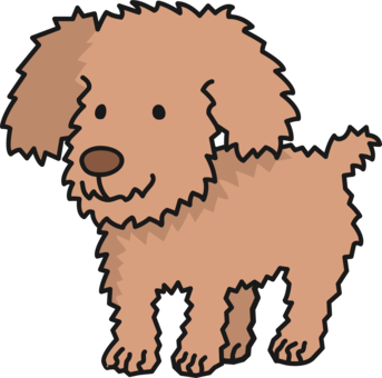 Labradoodle Photo Background Transparent Png Images And Svg Vector Clipart Png Clipart Royalty Free Svg Png