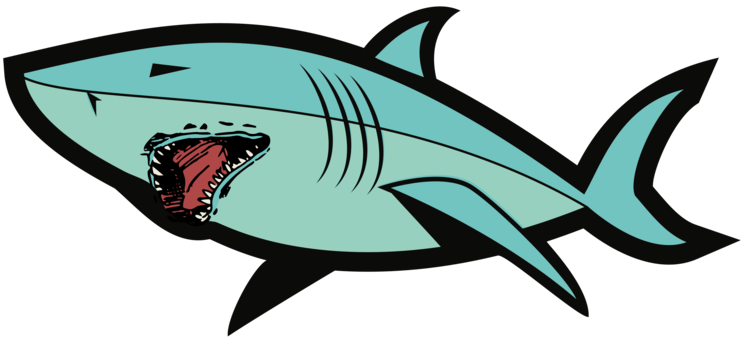 Marine Biologysharkorganism Png Clipart Royalty Free Svg Png