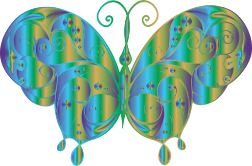 Download Butterfly,Feather,Pollinator PNG Clipart - Royalty Free ...