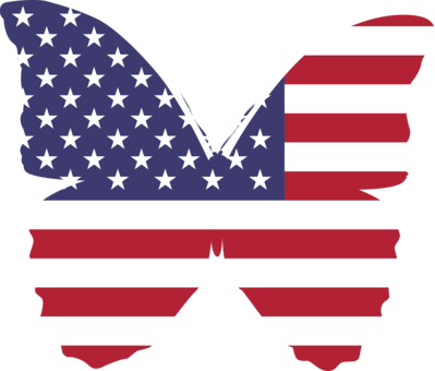 Betsy Ross Flag Photo Background Transparent Png Images And Svg Vector Clipart Png Clipart Royalty Free Svg Png