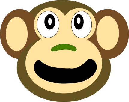 Head,Primate,Vertebrate PNG Clipart - Royalty Free SVG / PNG