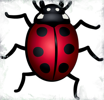 Red Circle png download - 1750*2336 - Free Transparent Ladybird